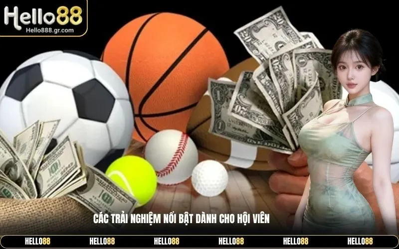 Các Trải Nghiệm Nổi Bật Dành Cho Hội Viên